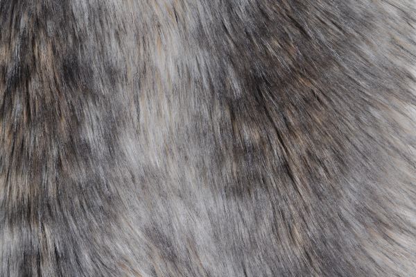 Island Raccoon Ivory/Brown